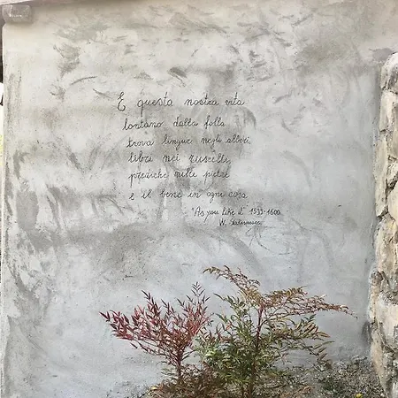 La Casa Del Bosco *